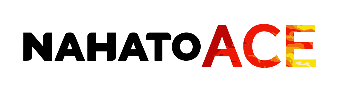 ナハトエースロゴ