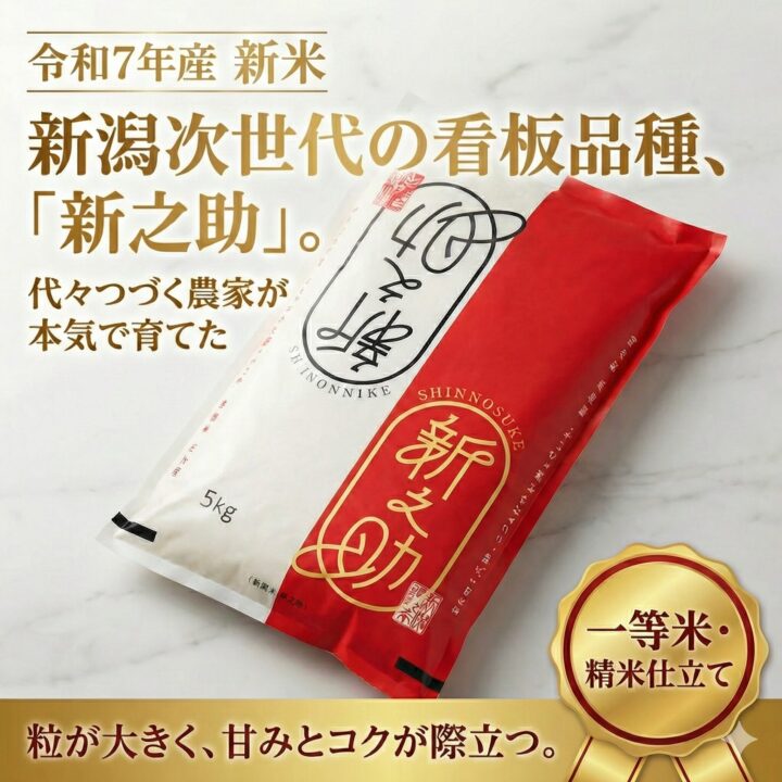 イメージ画像1