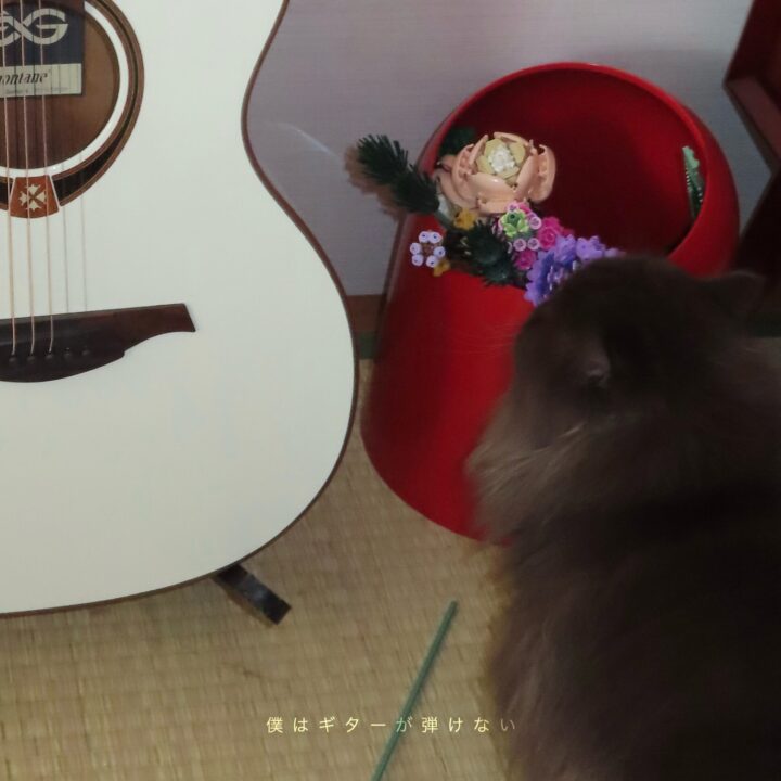 楽曲ジャケット画像